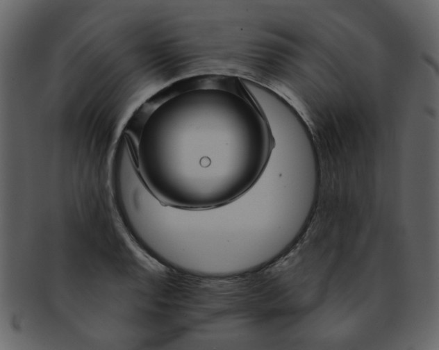 X0000093141128200710171323