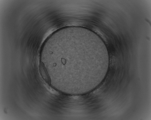 X0000093141130200710171323