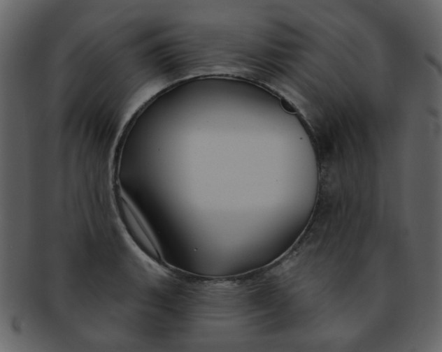 X0000093141135200710171323