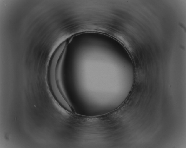 X0000093141136200710171323