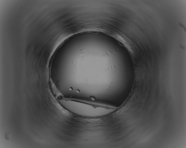 X0000093141140200710171323