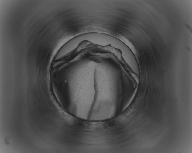 X0000093141144200710171323