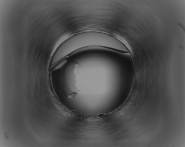 X0000093141146200710171323