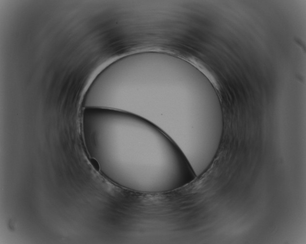 X0000093141148200710171323