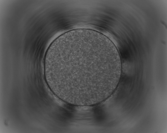 X0000093141150200710171323