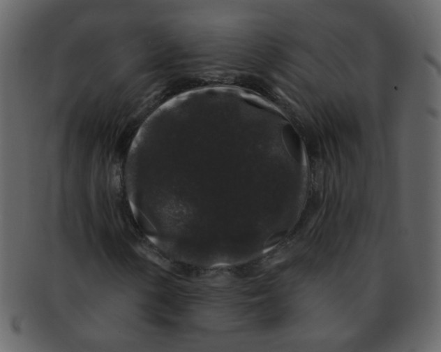 X0000093141154200710171323