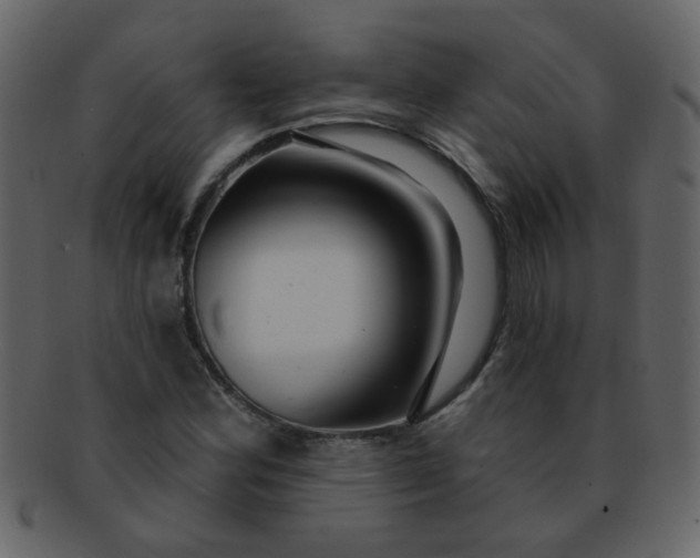 X0000093141164200710171323