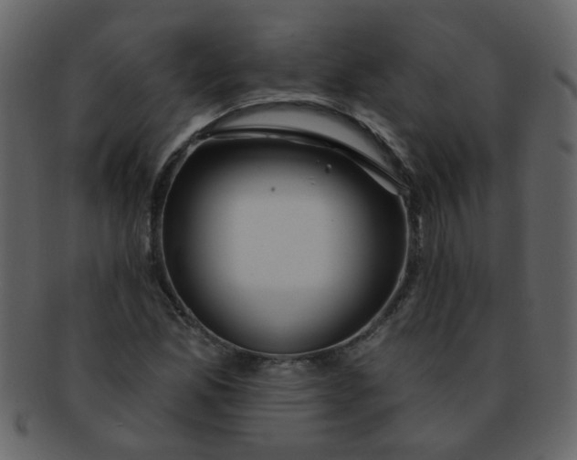 X0000093141165200710171323