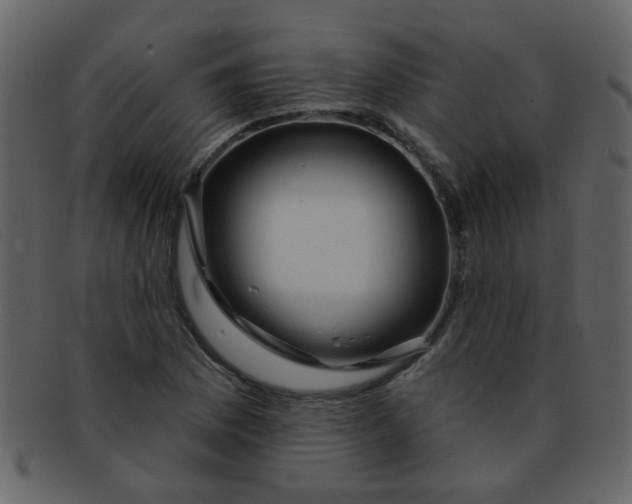 X0000093141169200710171323