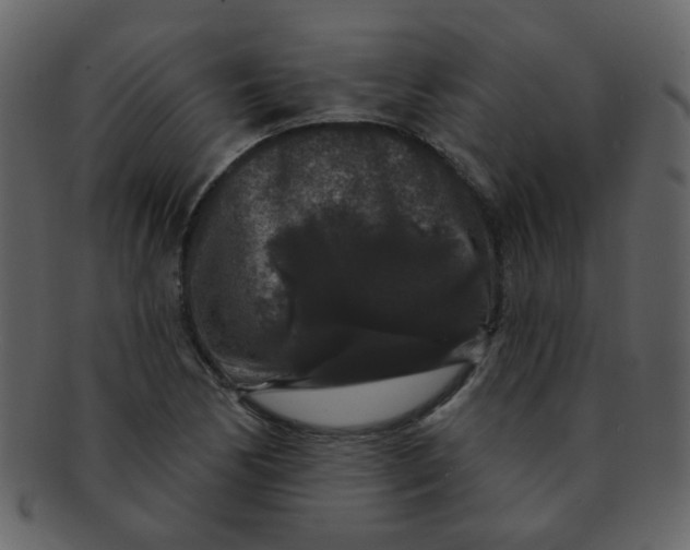 X0000093141170200710171323