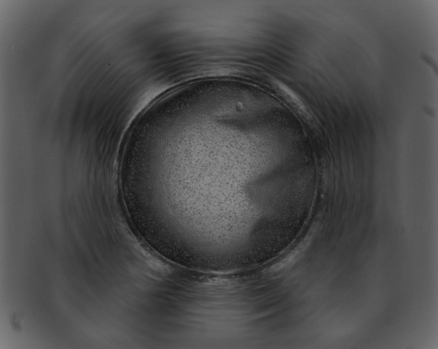 X0000093141178200710171322