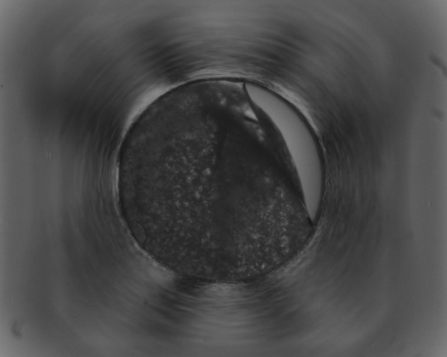 X0000093141179200710171322