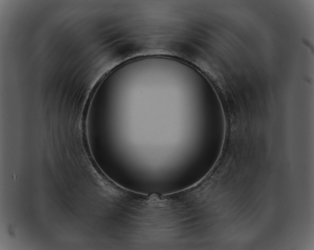 X0000093141181200710171322