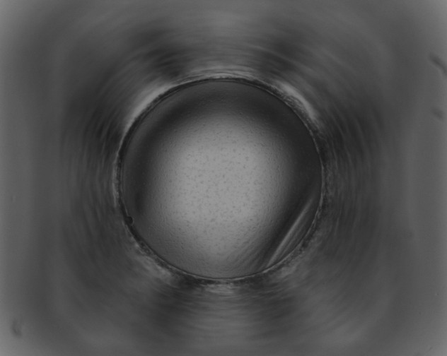 X0000093141182200710171322