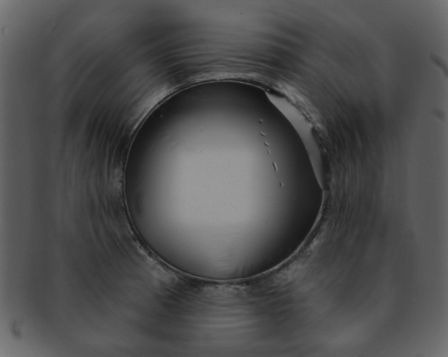 X0000093141185200710171322