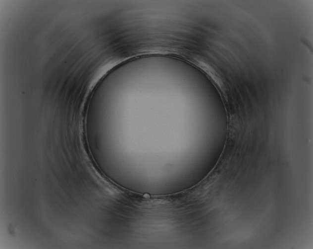 X0000093141187200710171322