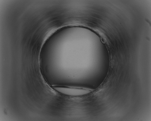 X0000093141191200710171322