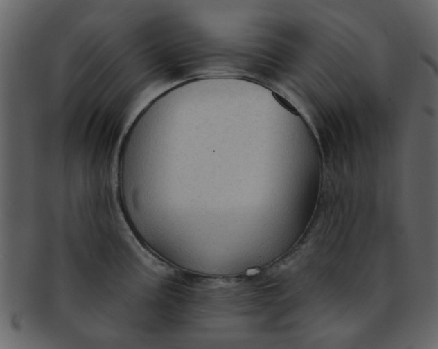 X0000093141195200710171322