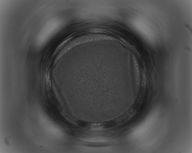 X0000093141198200710171322