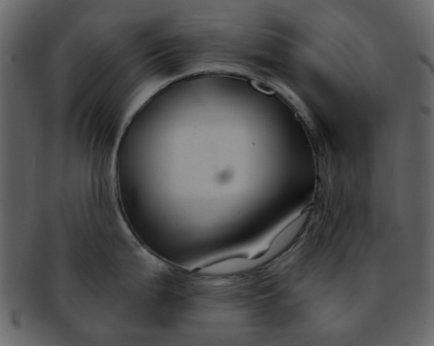 X0000093141199200710171322