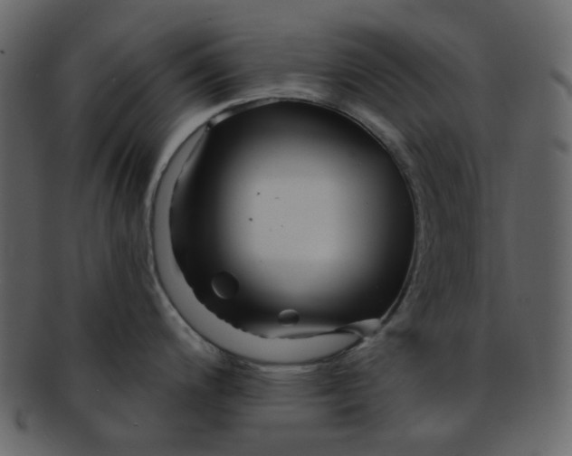 X0000093141200200710171322