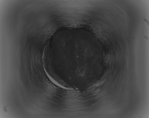 X0000093141202200710171322