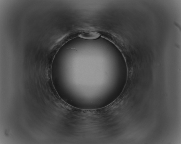 X0000093141205200710171322