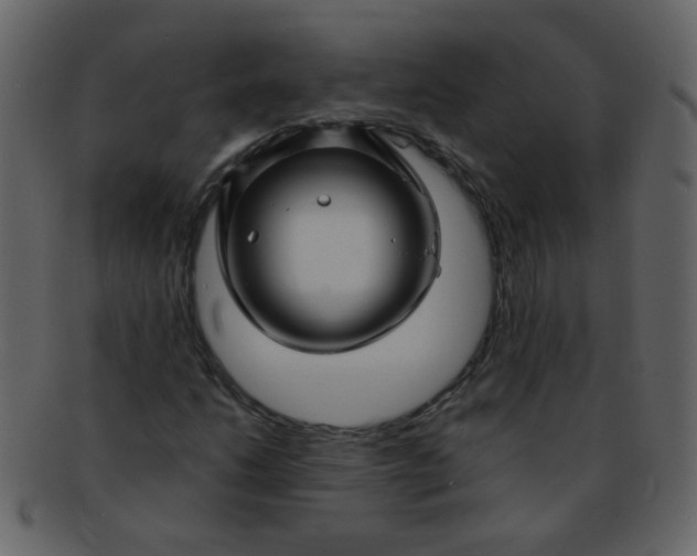 X0000093141206200710171322