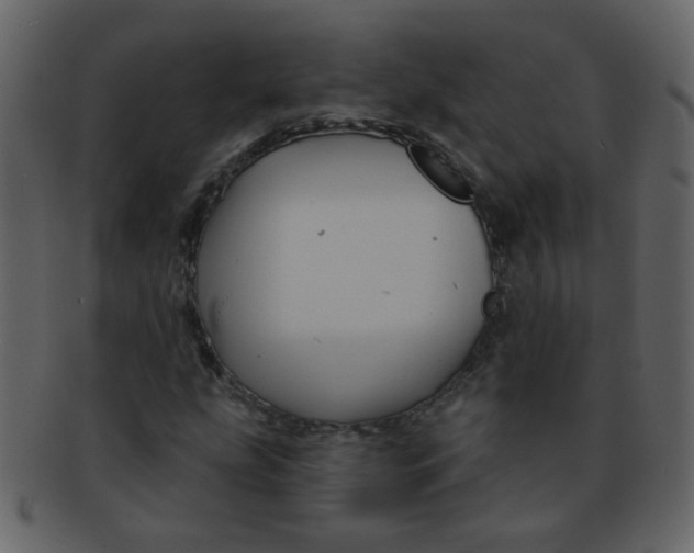 X0000093141207200710171322