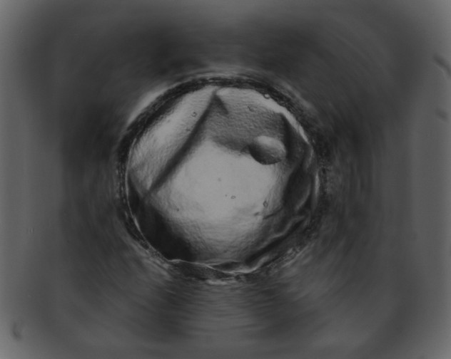 X0000093141208200710171322