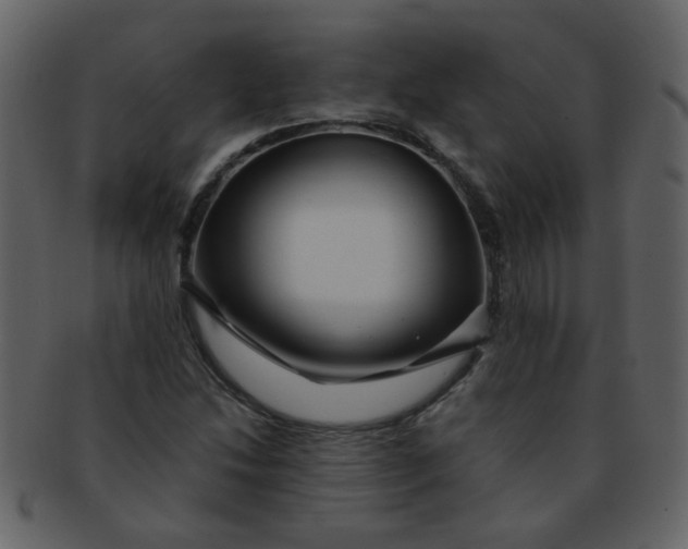 X0000093141214200710171322