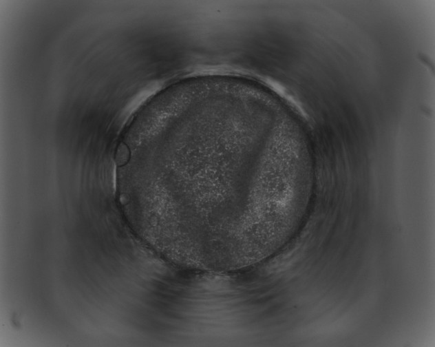 X0000093141221200710171322