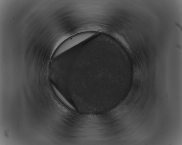 X0000093141226200710171322