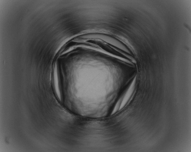 X0000093141228200710171322