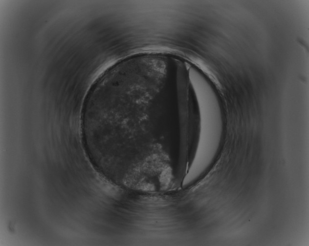 X0000093141229200710171322