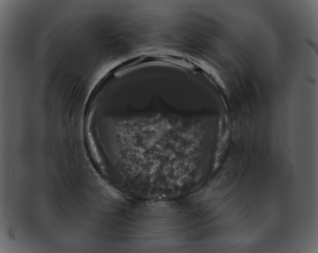 X0000093141231200710171322