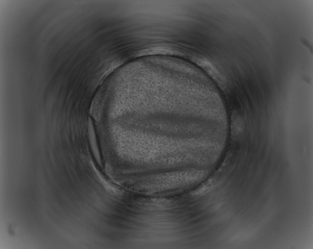 X0000093141233200710171322