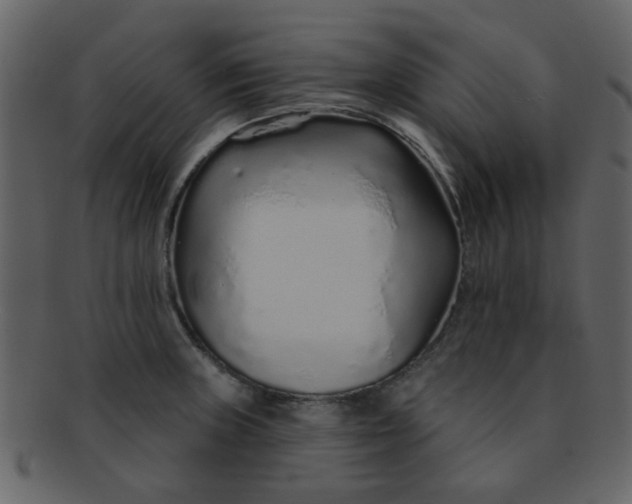 X0000093141235200710171322