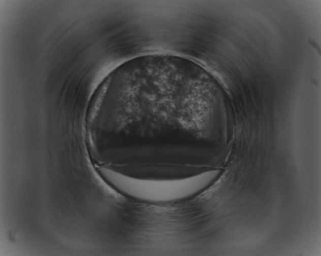 X0000093141239200710171322