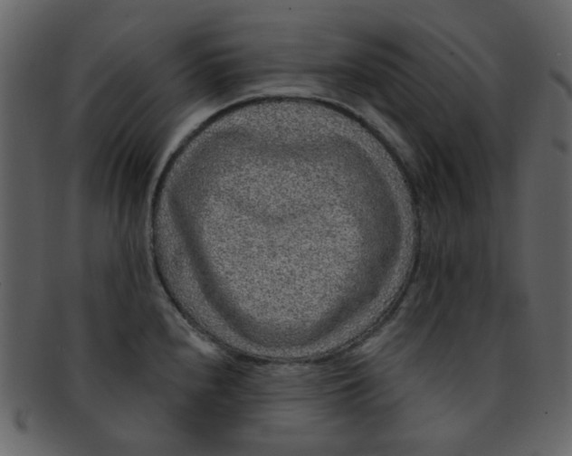 X0000093141240200710171322