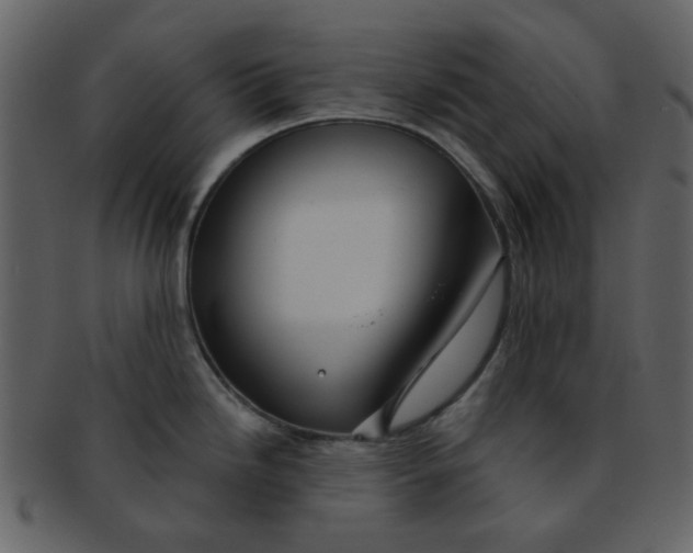 X0000093141246200710171322