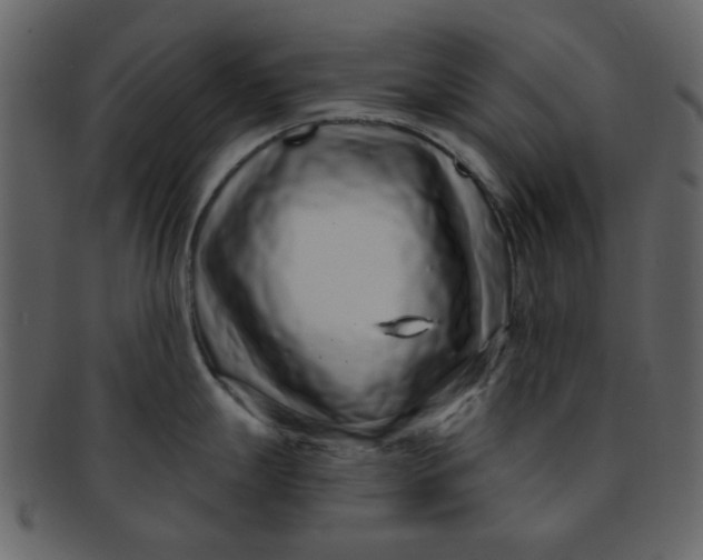 X0000093141247200710171322