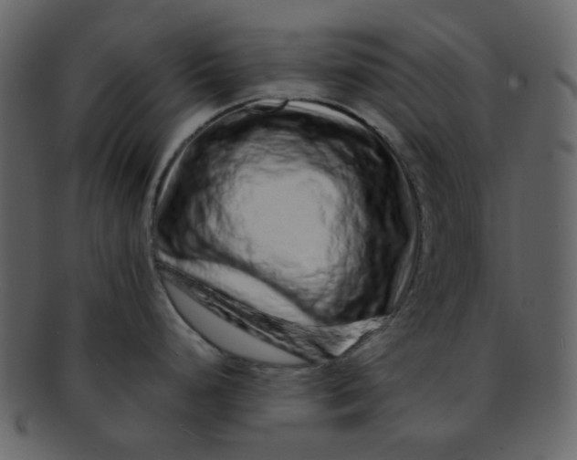 X0000093141248200710171322