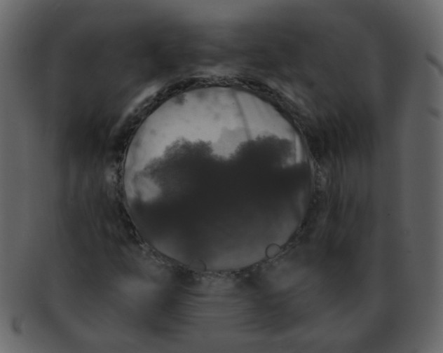 X0000093141254200710171321