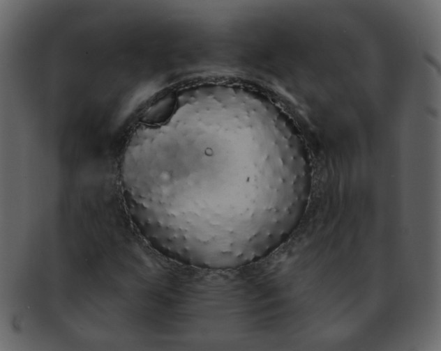 X0000093141255200710171321