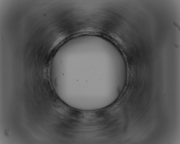 X0000093141258200710171321