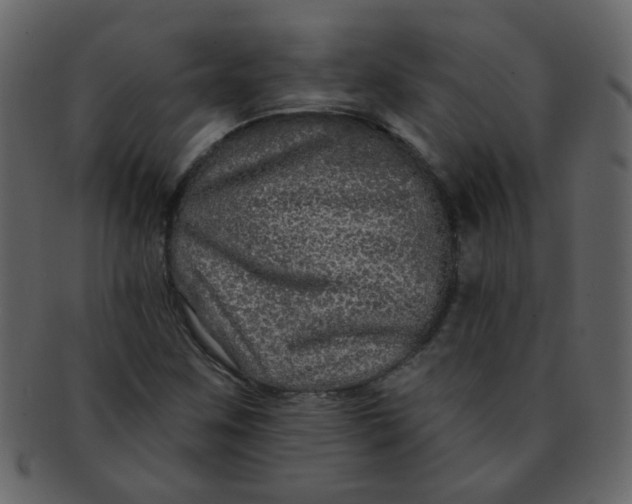 X0000093141259200710171321