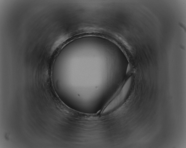 X0000093141261200710171321