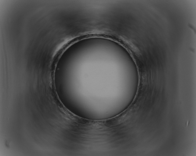 X0000093141262200710171321