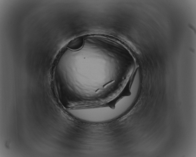 X0000093141264200710171321